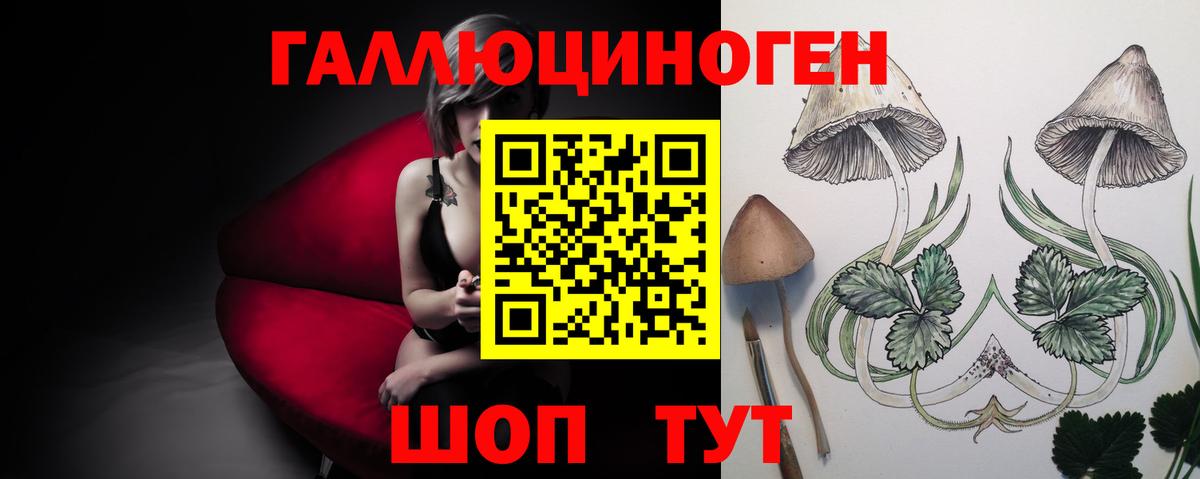Киров  Галлюциногенные грибы мицелий  Вход с VPN 